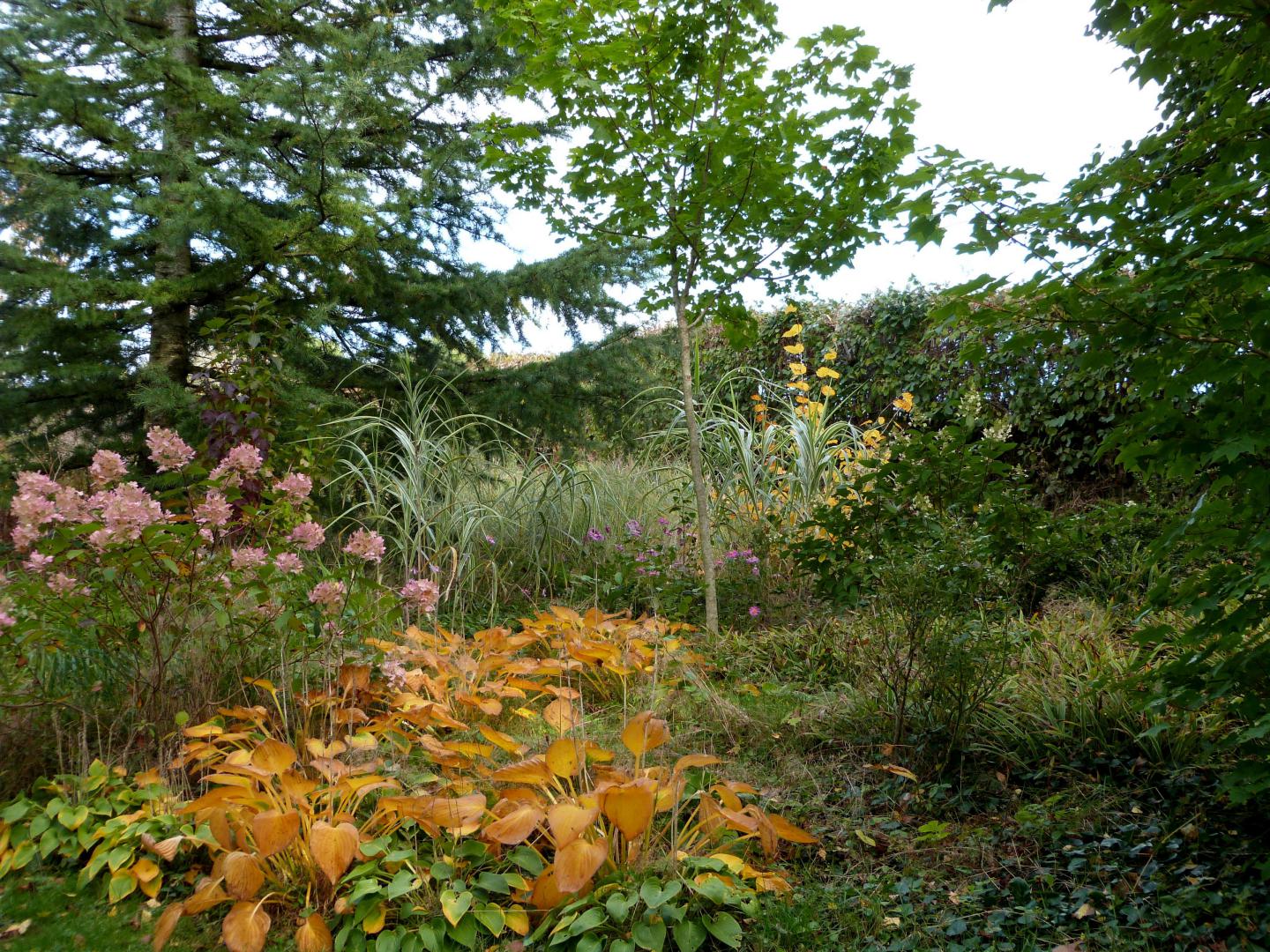 Massif entrée