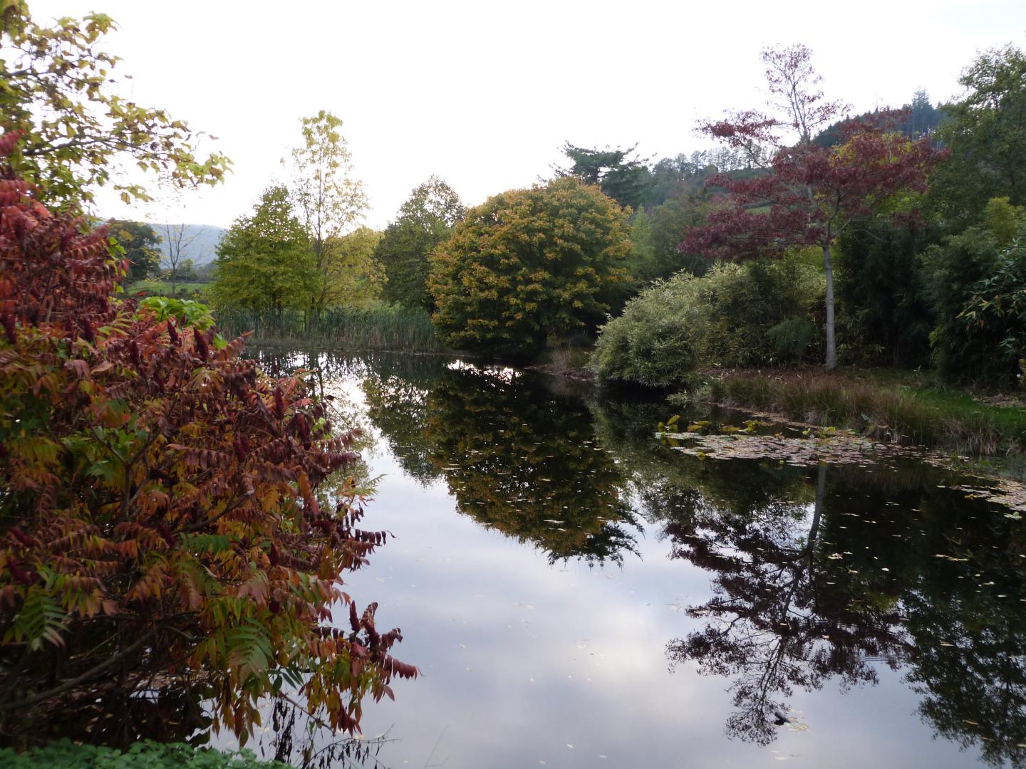 Etang à l'automne