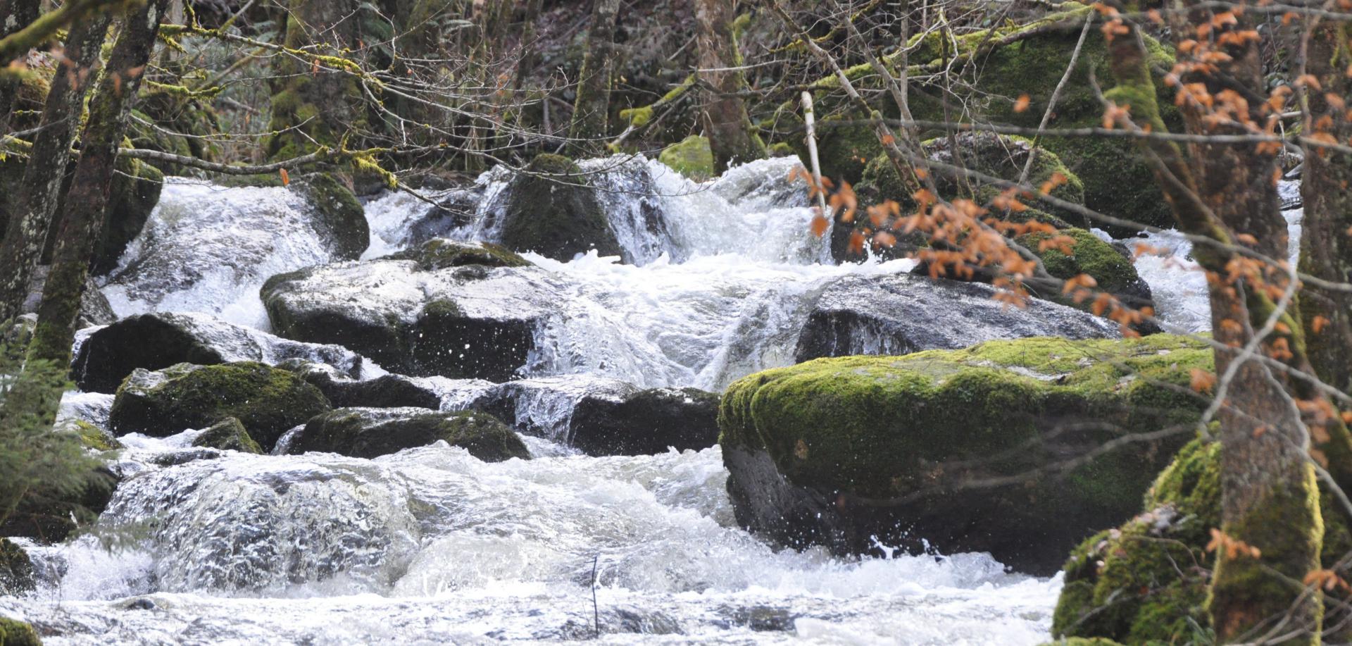 Riviere de la Canche